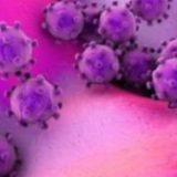 美官员:本土出现新冠死亡病例再前推三周,大量病例或未确诊