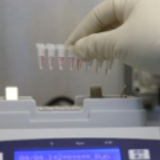 新增病例轨迹发布时间晚？黑龙江省回应了