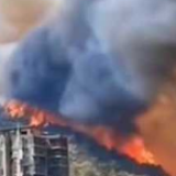 青岛通报小珠山火情:正全力扑救,暂无人员伤亡