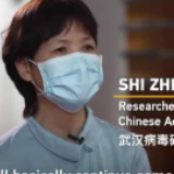 武汉病毒研究所研究员石正丽：现在发现的病毒只是冰山一角