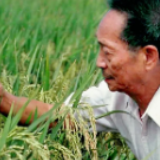今天，致敬我们的民族脊梁！