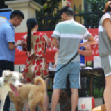 长沙公安启动集中整治 违法违规养犬将被处罚