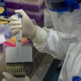 巴西新增逾2.8万新冠肺炎确诊病例，累计超55万例