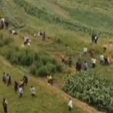 给大山不明声响加音效，说是“龙叫”“鬼叫”，2人被行拘