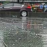 今明两天湖南阴雨天气“抢镜” ，道路湿滑注意交通安全