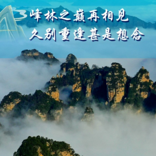 海报丨我在张家界等你