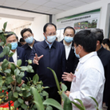 毛伟明调研种业发展：以一域之为解全局之急 为打好种业翻身仗作出湖南贡献
