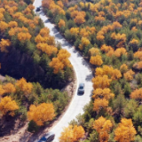 陕西神木：层林尽染秋意浓