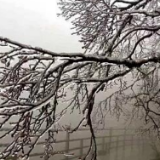 湖南省气象台12月24日16时发布寒潮黄色预警