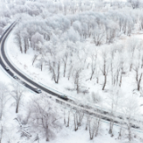 宛若仙境！新疆北屯现雾凇美景