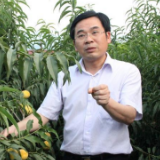 视频丨刚刚！习近平在讲话中提到了黄诗燕