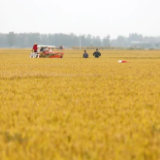 普查结果显示：我国脱贫攻坚战取得了全面胜利