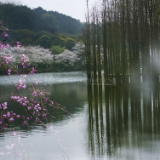 湖南两城获评国家节水型城市