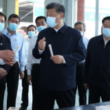 习近平：进一步发展中医药