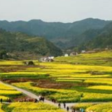 江西莲花县：建好红色名村 讲好红色故事