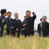 学习进行时丨解读总书记这个“临时”之举