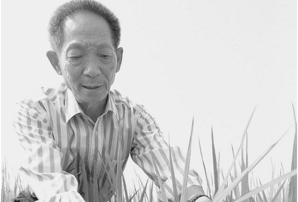袁隆平逝世