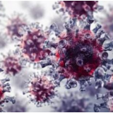 河南安阳病例与天津本地疫情属同一传播链