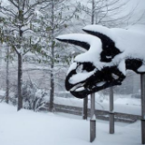 湖南发布低温雨雪冰冻橙色预警：长沙湘潭株洲等地将积雪