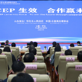 快讯丨怀化庆祝RCEP生效系列活动开幕