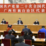 “就是要理直气壮、很自豪地去做这件事”（微镜头·习近平总书记参加党的二十大广西代表团讨论）