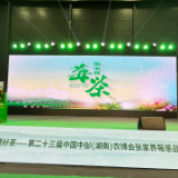 农博时刻丨张家界莓茶：“神仙草”成“富民茶”