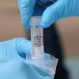 一文读懂抗原自测：谁能测？在哪买？怎么测？