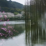 防范化解重大生态环境风险隐患，湖南本月起将实施“利剑”行动