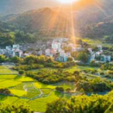 六部门发文！乡村迎重大机遇