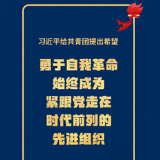 金句来了！庆祝建团百年，习近平这样寄语青年