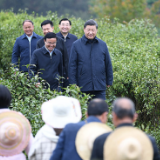 近镜头丨“五位书记”同框照背后的故事