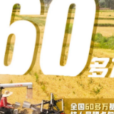 手里的饭,更香了!