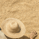 学习图说丨希望的田野