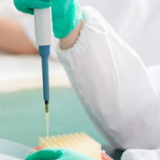 约翰斯·霍普金斯大学：全球累计确诊新冠病例超6亿例