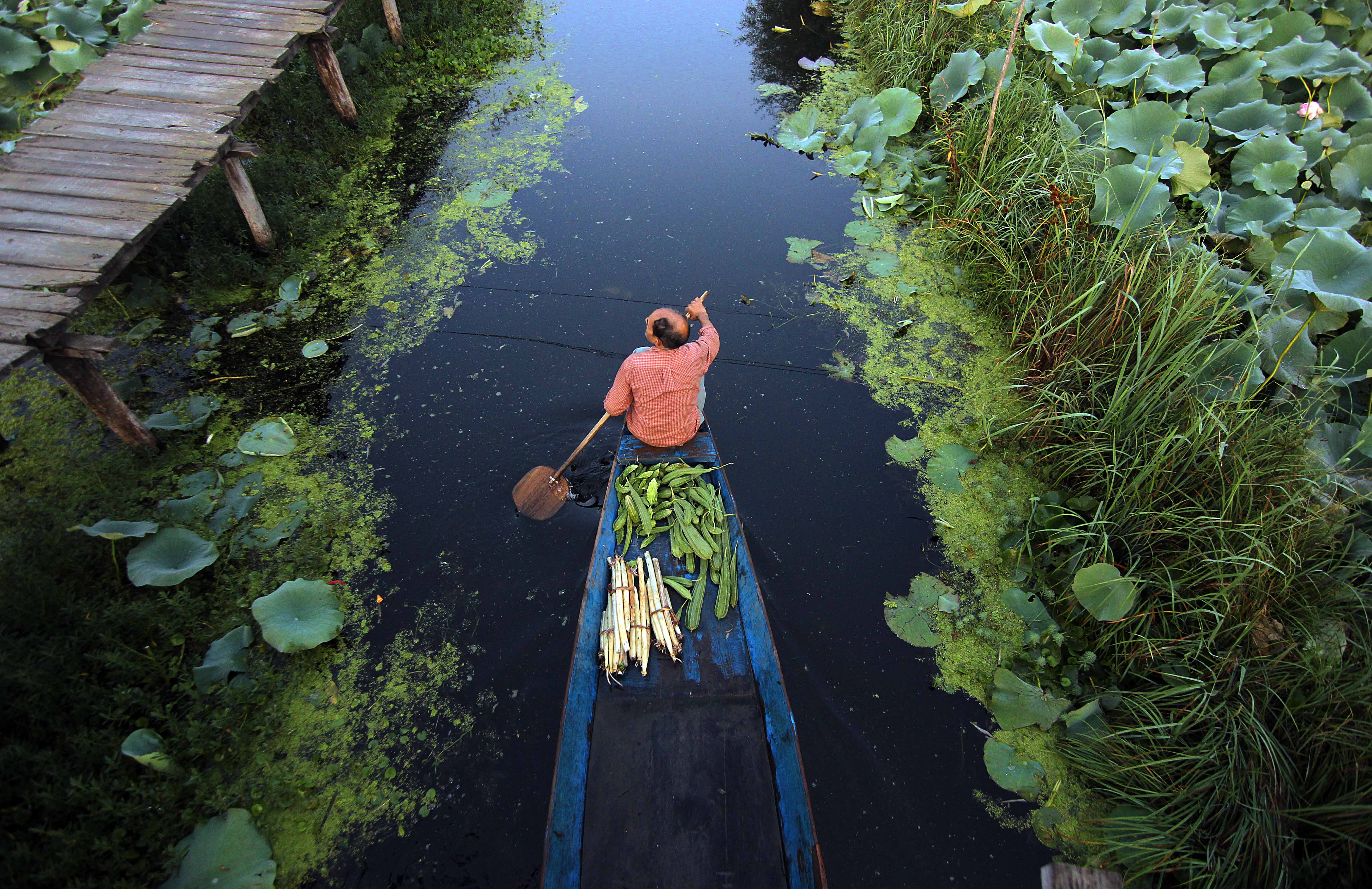 当地时间2020年9月15日，克什米尔斯利那加达尔湖，小贩在船上贩卖蔬菜。