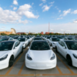 抗疫、活力、机遇——海外热议经济“三季报”的高频词