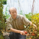 “我要把番茄事业干到底”（讲述·一辈子一件事）