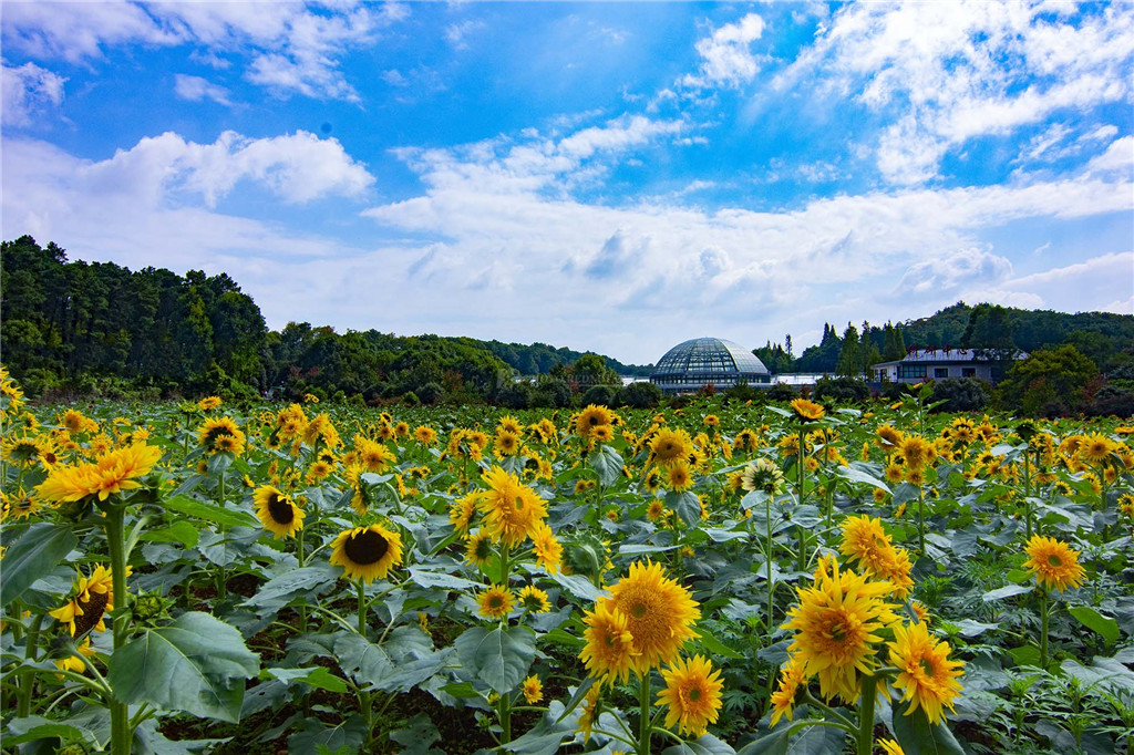 湖南省植物园领导图片