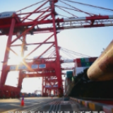 独家视频丨习近平：中国市场为世界创造更多需求