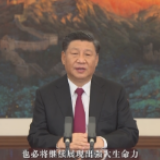 独家视频丨习近平：亚太是我们的共同家园