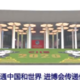 环球视线丨七位驻华大使成进博会“明星代言人”：中国为世界经济注入动力
