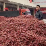 全国各地都在忙这件事，真“丰”光！