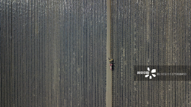 新疆巴音郭楞蒙古自治州和静县巴润哈尔莫敦镇查汗赛尔村农民在播种辣椒地进行铺设薄膜作业。