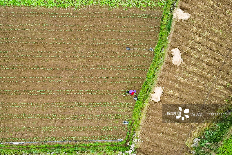 3月30日，湖南湘西，吉首市乾州街道西门口村村民在田间忙碌，俯瞰大地如同一幅巨画。