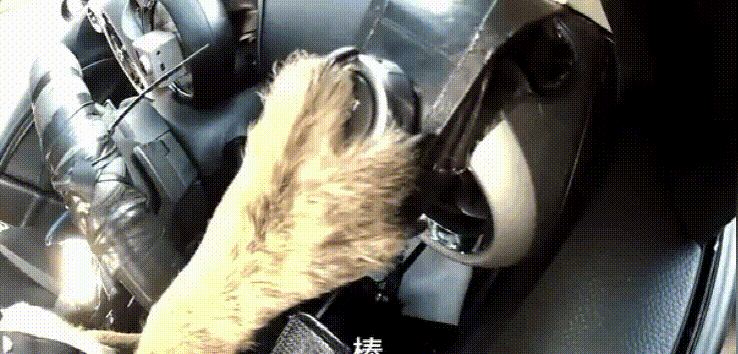 9E71BA3B62CFC60FC694FA474DE9A8A46FEAB326_w602_h289 (1).gif