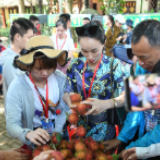 全国网媒聚焦保亭 “解锁”绿色发展密码