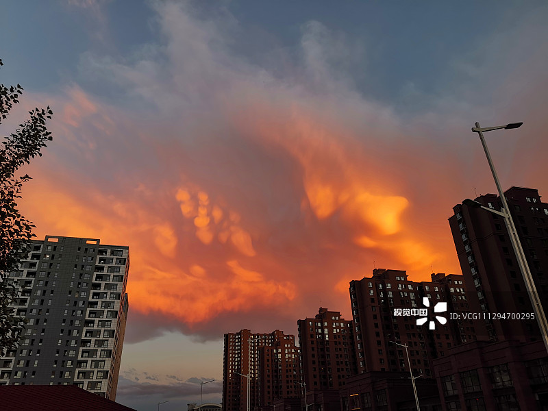 2020年8月9日，呼和浩特上空出现火烧云，舒卷的云朵形似翅膀，吸引不少市民观赏拍照。