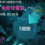 不老神药NMN遭排查：功效被夸大 在华未获相关许可