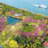 “牛”气开局 “犇”向春天