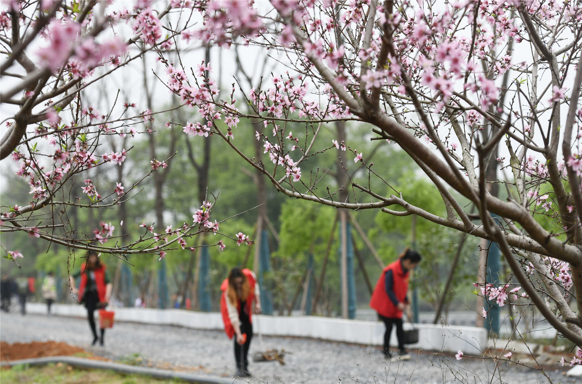 2021年3月18日，湖南省永州市道县梅花镇贵头村，护水净滩志愿者在捡拾垃圾。